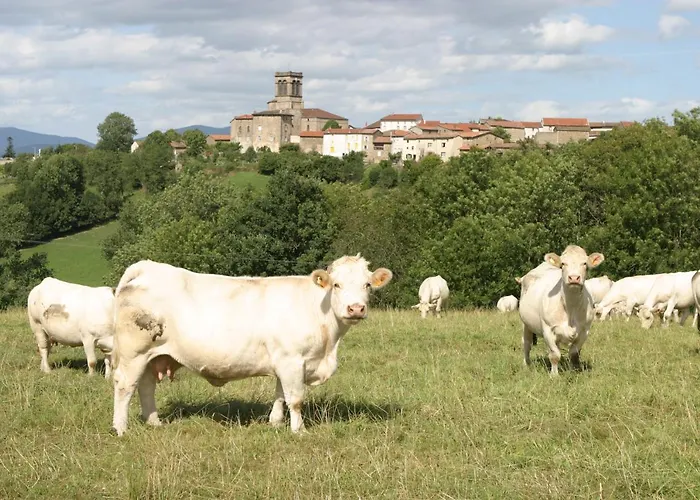 La Paresse En Douce 住宿加早餐酒店 3*